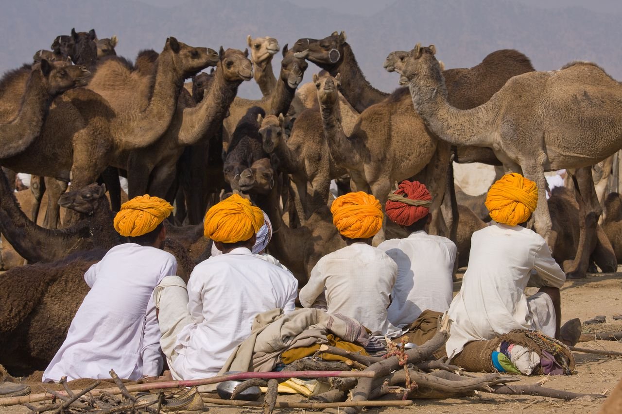 Rajasthan Cycling Tour with Pushkar Camel Fair 17 Days